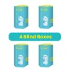 4 Blind Boxes