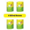 4 Blind Boxes