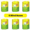 6 Blind Boxes